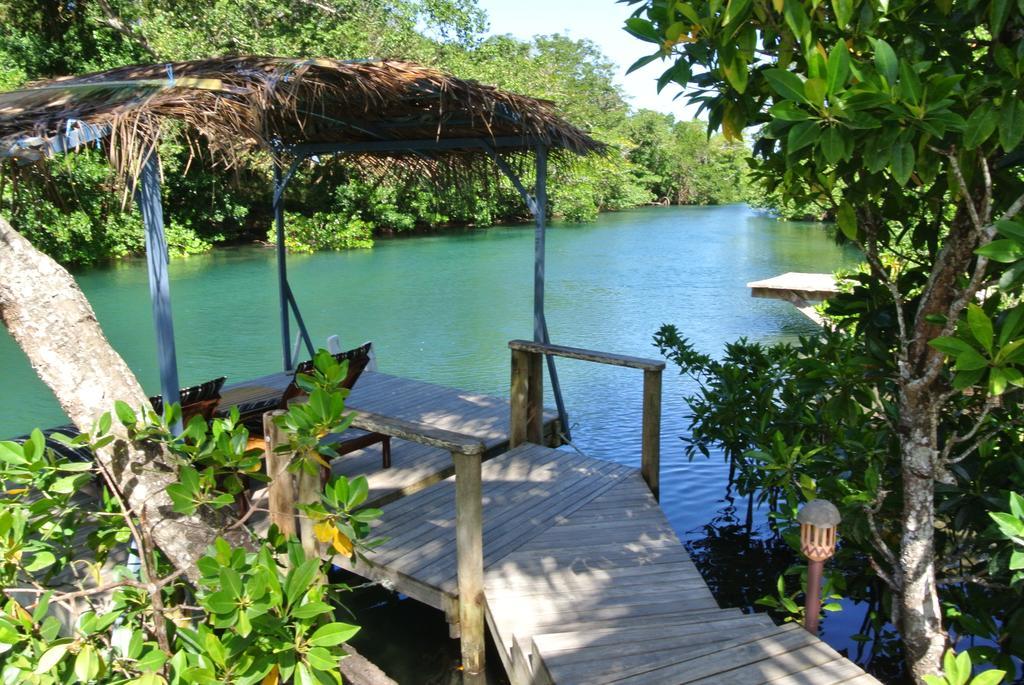 Salt Lake Lodge Savusavu Δωμάτιο φωτογραφία