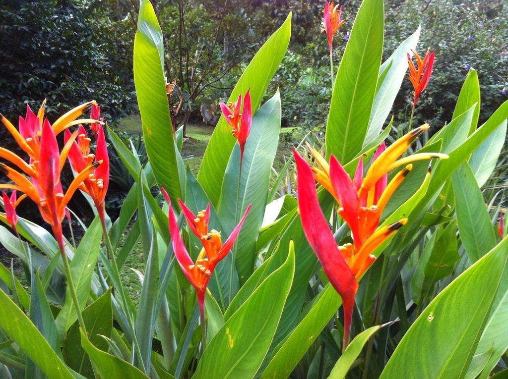 Salt Lake Lodge Savusavu Εξωτερικό φωτογραφία